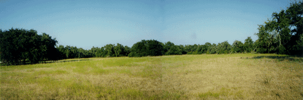 Property picture